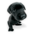 Puppy-2 icon