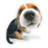 Puppy-1 icon