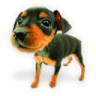 Puppy-7 icon