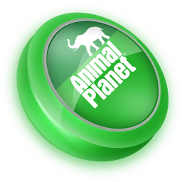 Animal Planet Icon | TV Buttons 2 Iconpack | Wackypixel