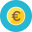 Euro Coin icon