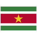 SR Suriname Flag icon