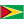 GY Guyana Flag icon