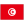 TN-Tunisia-Flag icon