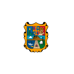 MX TAM Tamaulipas Flag icon