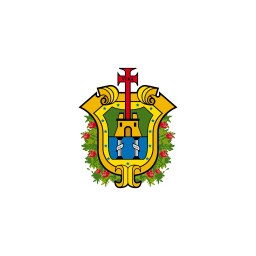 MX VER Veracruz Flag icon