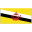 BN-Brunei-Flag icon