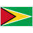 GY Guyana Flag icon