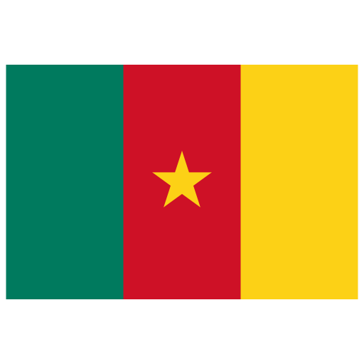 CM-Cameroon-Flag icon
