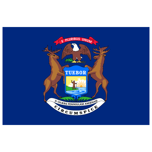 US MI Michigan Flag icon