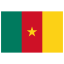 CM Cameroon Flag icon