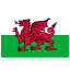 GB WLS Wales Flag icon