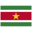 SR Suriname Flag icon