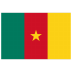 CM-Cameroon-Flag icon