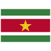 SR-Suriname-Flag icon