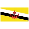 BN-Brunei-Flag icon