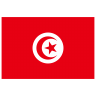 TN-Tunisia-Flag icon