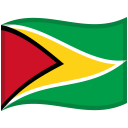 Guyana-Waved-Flag icon
