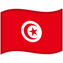 Tunisia Waved Flag icon
