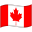 Canada Waved Flag icon