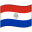 Paraguay Waved Flag icon
