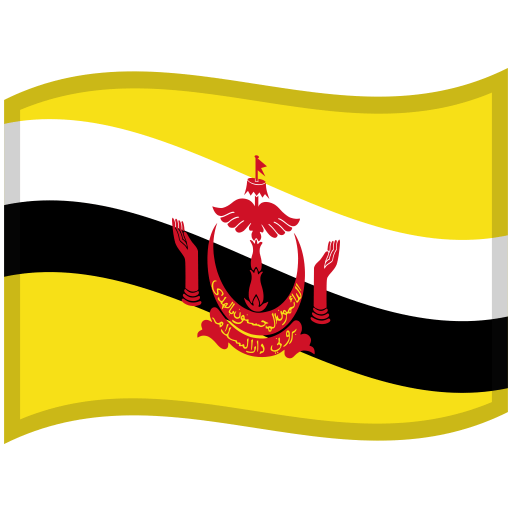 Brunei-Waved-Flag icon