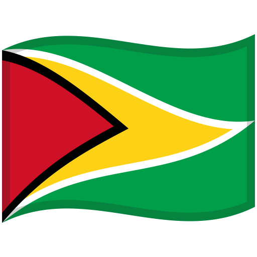 Guyana-Waved-Flag icon