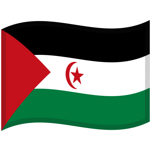 Western-Sahara-Waved-Flag icon