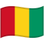 Guinea Waved Flag icon