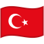 Turkey Waved Flag icon