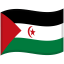 Western Sahara Waved Flag icon