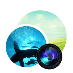 App Photodupicator icon
