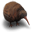 Kiwi-Flightless-Bird icon